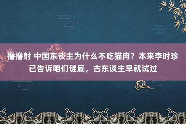 撸撸射 中国东谈主为什么不吃猫肉？本来李时珍已告诉咱们谜底，古东谈主早就试过
