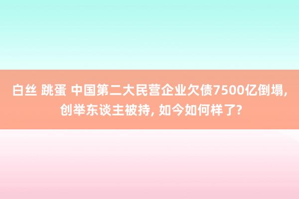 白丝 跳蛋 中国第二大民营企业欠债7500亿倒塌, 创举东谈