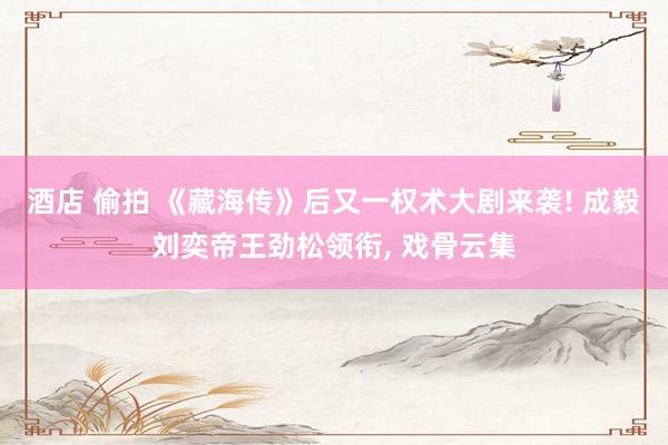 酒店 偷拍 《藏海传》后又一权术大剧来袭! 成毅刘奕帝王劲松