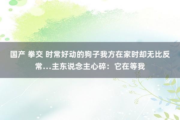 国产 拳交 时常好动的狗子我方在家时却无比反常…主东说念主心